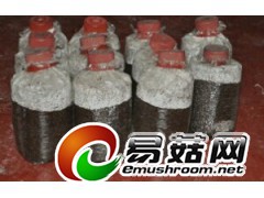 求购香菇栽培种图1