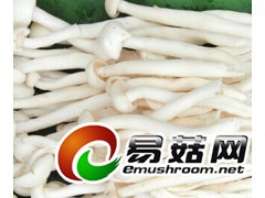 求购海鲜菇,蟹味菇图1