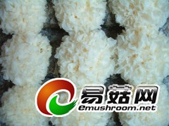 银花朵朵(古田银耳)