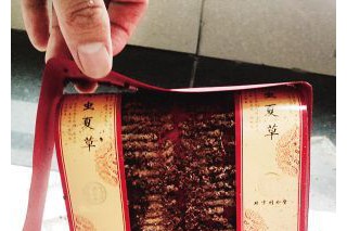 重慶天氣潮濕 男子價(jià)值10多萬蟲草全被蟲吃 ()