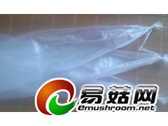 求购平菇袋100公斤图1