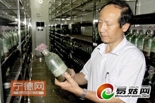 最美農(nóng)民戴維浩：普通的農(nóng)民 菌界的“大腕” ()