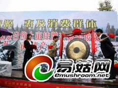 渤商所木耳现货-鸣锣开市