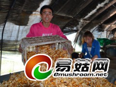 丰收了！李平文（摄）