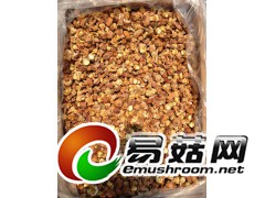 姬松茸新货上市图2