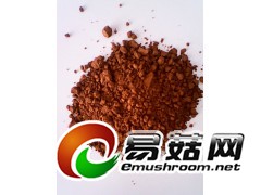 供应猴头菇菌粉 猴头菇粉厂家现货低价销售图1