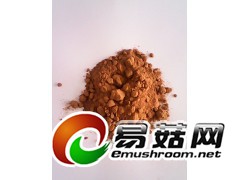 供应猴头菇菌粉 猴头菇粉厂家现货低价销售图3