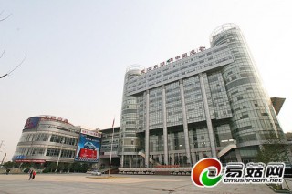 “菌博會”九月在武漢舉行 全國食用菌將“會師”集結(jié) ()