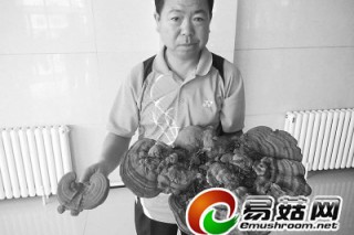 長(zhǎng)春市民爬山時(shí)采到“靈芝” 原是“老牛肝” ()