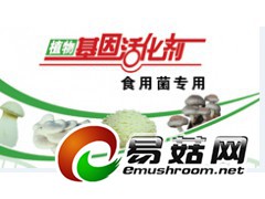食用菌专用,奇菌植物基因活化剂图1