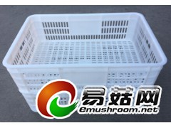 山东蔬菜筐,山东水果筐,山东塑料筐图1
