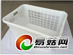 金乡塑料筐图1