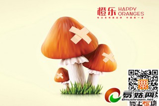 “換個(gè)方法賣蘑菇”——如何為食用菌企業(yè)“止血”？ ()