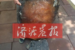 居民挖到神秘物體疑似“太歲” 有彈性放半年不腐 ()