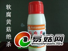 食用菌细菌性病害克星，蚊蝇蛆虫专业防治交流图1