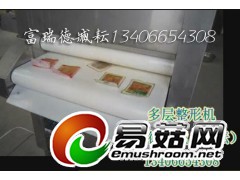 金针菇整形机图1