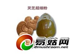 供应食品级猴头菇原料图1