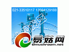 40FYS-40硝酸池防腐泵图1