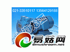 IS100-65-200C卧式联轴泵图1