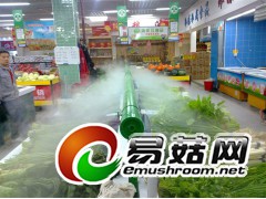 食用菌环境湿度解决加湿机SZY-15图3