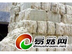 上海附近求购甘蔗渣图1