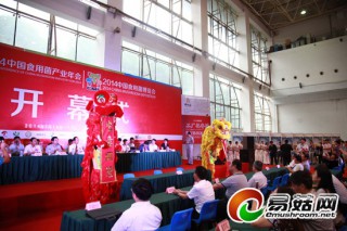 2014中國(guó)食用菌產(chǎn)業(yè)年會(huì)暨中國(guó)食用菌博覽會(huì)在武漢隆重開(kāi)幕 ()