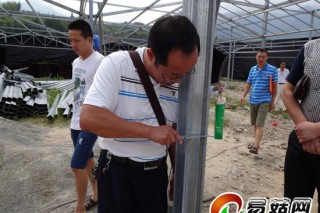福建建寧：設(shè)施食用菌大棚項(xiàng)目通過驗(yàn)收 ()