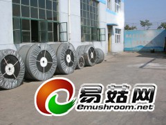 隔板带/青岛隔板带图3