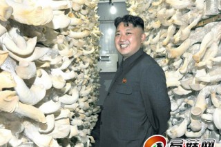 朝鮮研制高效蘑菇基質(zhì)發(fā)酵器 稱經(jīng)濟(jì)效益將很大 ()