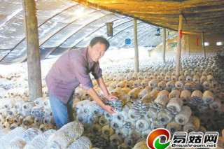 定邊秦連山:在小蘑菇中找尋發(fā)家致富“金鑰匙” ()