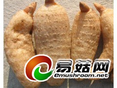 大量收购无硫天麻图1