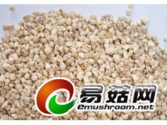 大量求购玉米(芯玉米棒芯)，桑树木屑，杂木屑图1