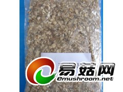 大量求购新鲜玉米芯图1