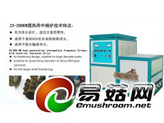 实验室专用高频炉图1