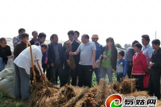 “蘑菇大王”丁倫保 節(jié)假日無休為殘疾人培訓(xùn)技術(shù) ()