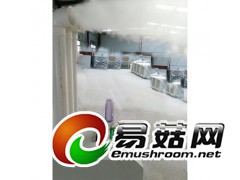 供应超声波加湿器图3