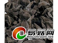 木耳批发图1