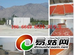 枸杞烘干机  枸杞子烘干机图1