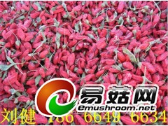 枸杞烘干机  枸杞子烘干机图2