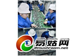 黑木耳批发价，黑木耳干货，供应黑木耳图2