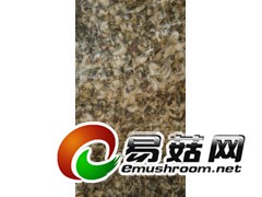 新疆今年棉籽壳图1