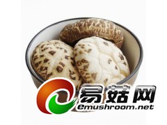 供应有机花菇图3