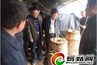 李玉院士對吉林省通化地區(qū)食藥用菌產(chǎn)業(yè)進行調(diào)研 ()