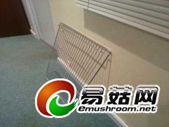 磨菇网片，不锈钢网片，吊顶网格图2