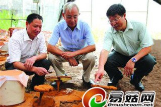 壽仙谷藥業(yè)與北大醫(yī)學部共建靈芝等藥物研發(fā)平臺 ()