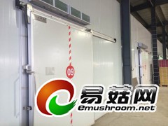 特级牛肝菌，美味牛肝菌批发价，牛肝菌干货图2