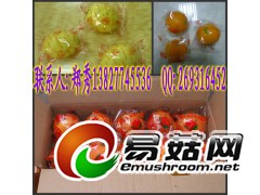 血橙包装机械，单个血橙自动包装机械，四川资中血橙包装机械图1