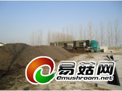 中部地区供应蘑菇渣   蘑菇废料图1