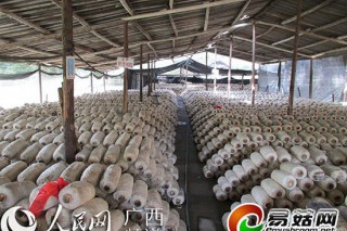 天峨提質(zhì)發(fā)展食用菌產(chǎn)業(yè) ()