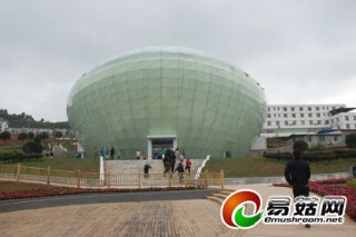 中國通江銀耳博物館首露面  萬人參觀“大露珠” ()